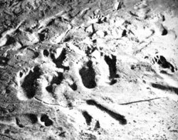 Empreintes de pieds - Tuc-d'Audoubertl